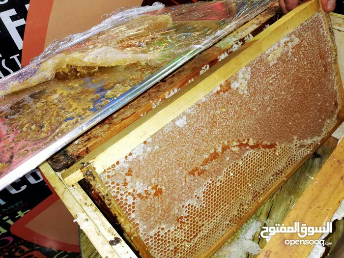 مناحل الشمال
لا تنسَ أنك شاهدت هذا الإعلان في عنكبوت
كبير نحالي الشمال
مناحل سوار العسل...