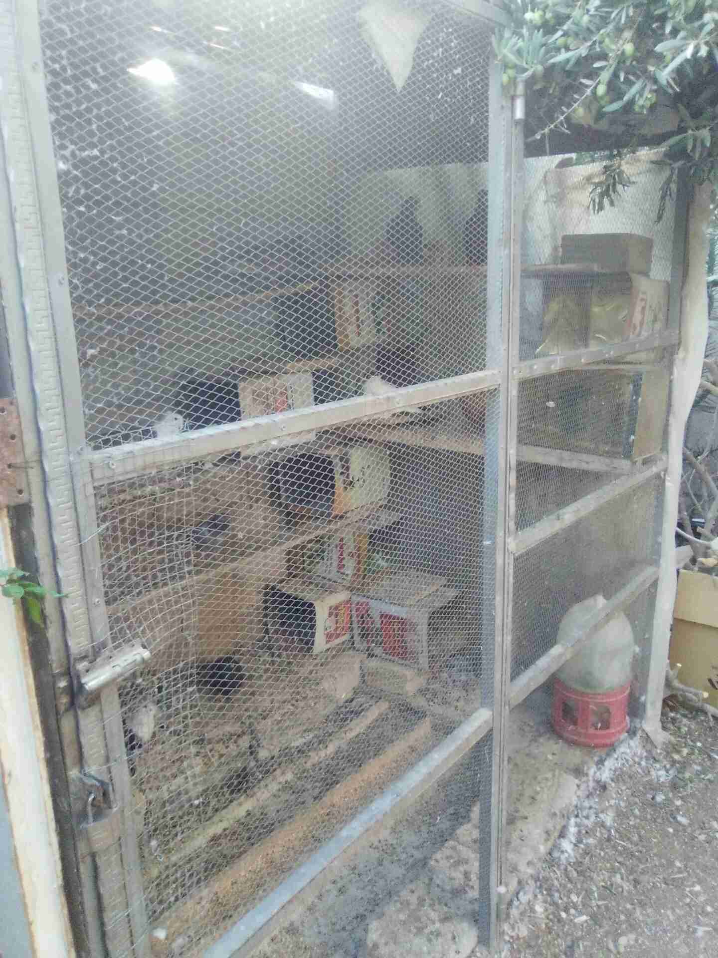مطير يصلح لكافة أنواع الطيور جميل ومميز ومرتب 0789872665
لا تنسَ أنك شاهدت هذا الإعلان في عنكبوت...