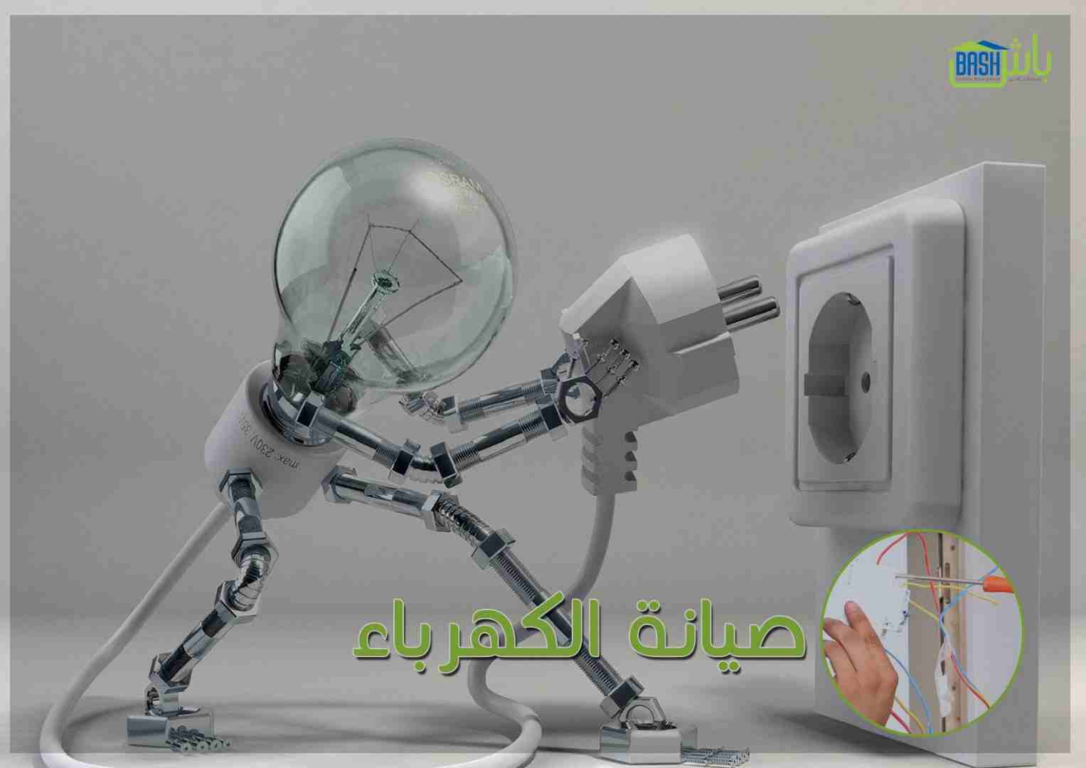 مكافحة الحشرات والقوارض - شركة باش لادارة المرافق
لا تنسَ أنك شاهدت هذا الإعلان في عنكبوت
-خدمات...