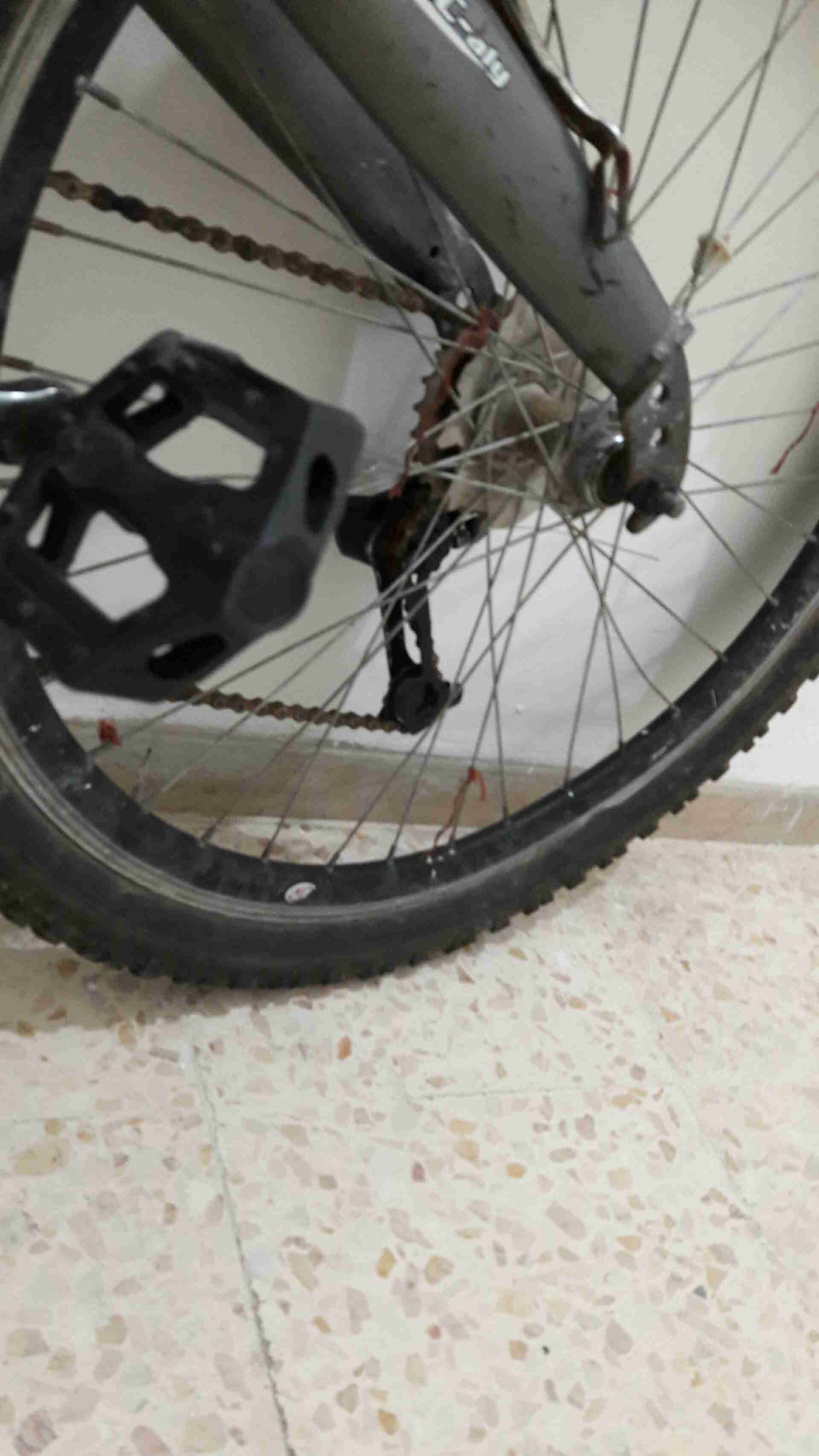 باسكاليت SUPER CLASSIC SPORTS BICYCLE
لا تنسَ أنك شاهدت هذا الإعلان في عنكبوت
بحالت الوكالة ف...