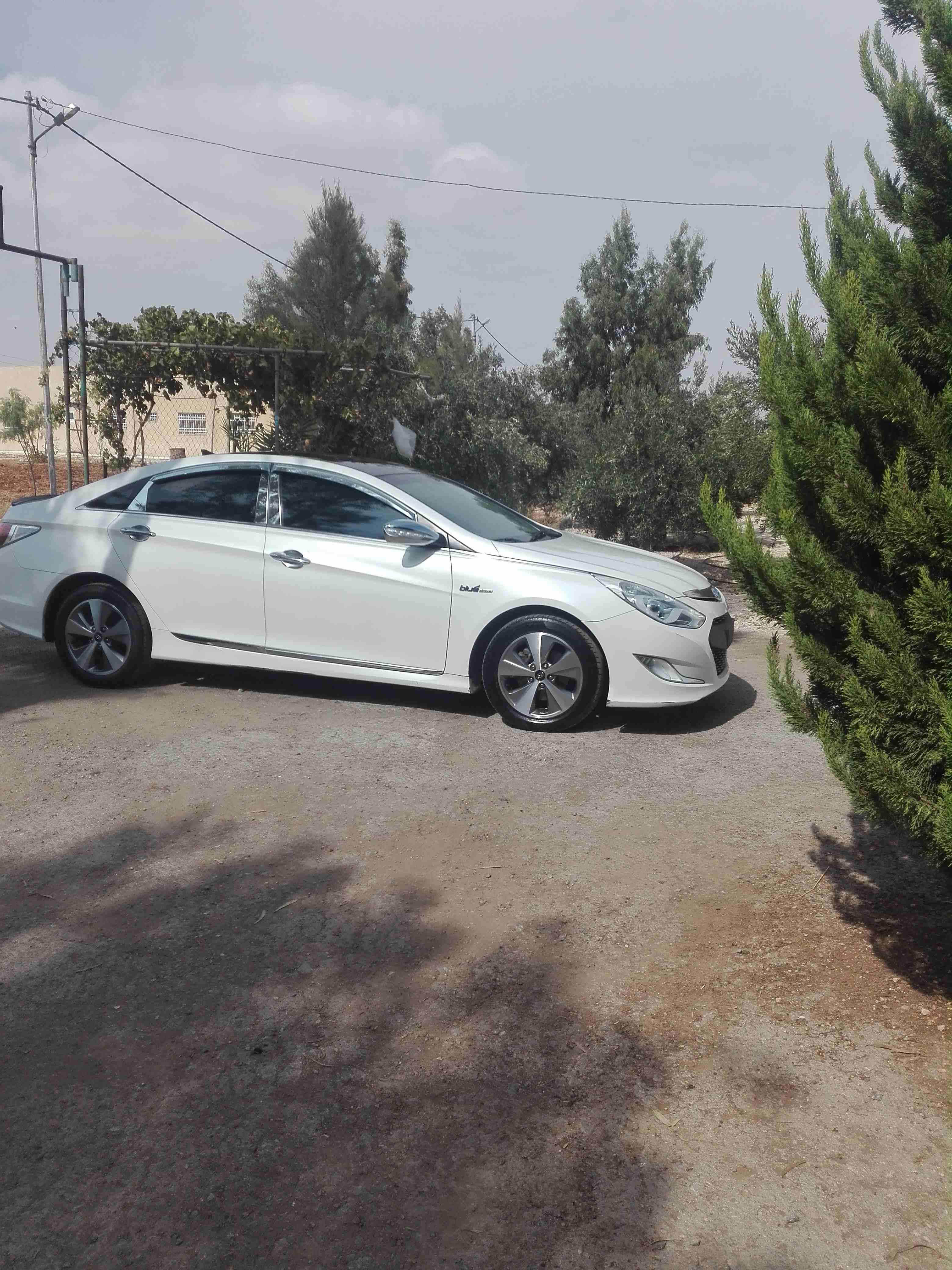 هونداي سوناتا وارد كوري اعلى مواصفات من غير فتحه
لا تنسَ أنك شاهدت هذا الإعلان في عنكبوت
هونداي س...