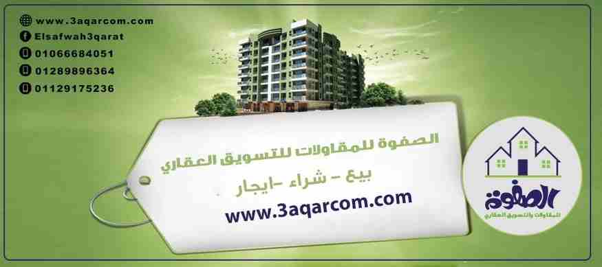 الصفوه للتسويق العقارى لخدمه الراغبين فى شراء وبيع واستثمار العقارات قامت الشركه بحلقه الوصل بين الراغبين فى بيع وتأجير وحداتهم اما سكنيه او اداريه او تجاريه او قطع اراضى ولنا سابقه اعمال فى هذا المجا...