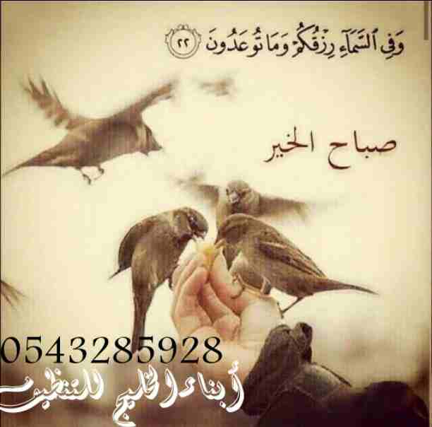 أبناء الخليج لنقل العفش والتنظيف ومكافحة الحشرات بالمدينه المنورة 0582819000