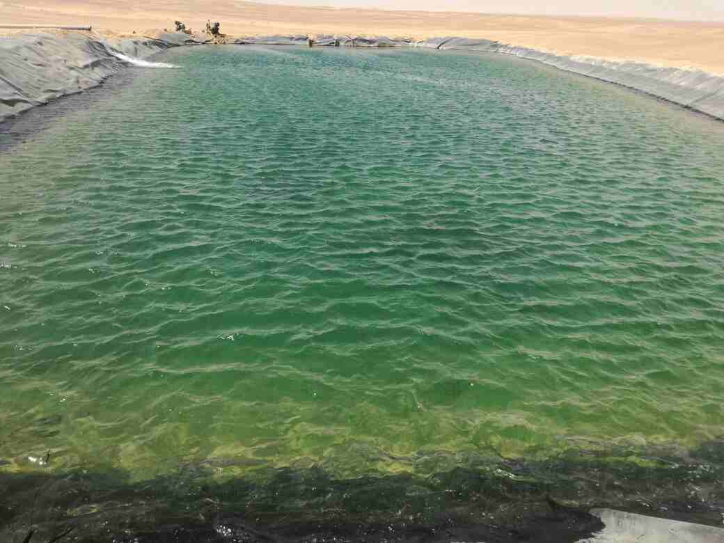 امتلك 5 فدان مجهزين بشبكات الري وجاهزين علي الزراعه في مدينه نهر الخير الزراعيه
مميزات المشروع 
1-	خصوبه الأرض  وجودنها تقدر تزرع أي حاجه لجميع الأنواع سواء خضار او اشجار أو محاصيل 
2-	التربه رمليه طف...