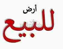 ارض للبيع بوسط البلد بنها

كود 4113
ارض 200 م شارع 6م واجهه 10 م مرخصه
سعر المتر 9000جنيه
وسط البلد بالقرب من شارع سعد زغلول
للمعاينه والاستعلام   Hot line\ 01289896363
01066684051\01151178817\0128989...