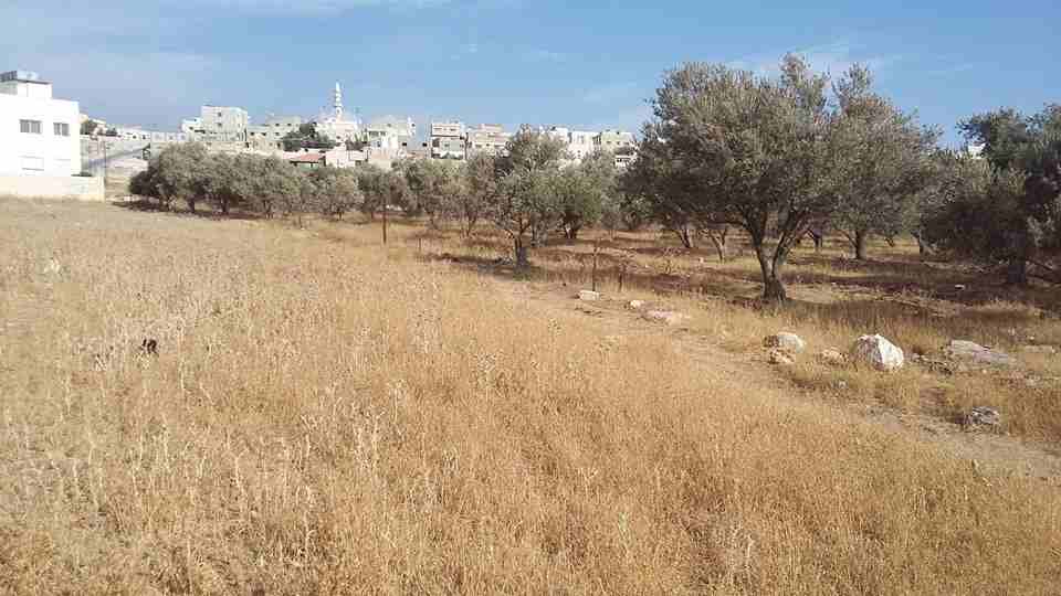 الأردن - عمان
ارض للبيع في الجويدة/ المستندات و ام زعرورة - قرب مسجد ابو بكر الصديق
القرية: الجويدة
حوض: المستندات و ام زعرورة
الموقع: المنطقة الواقعة مقابل نادي الرماية الملكي - قرب مسجد ابو بكر...