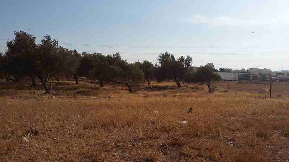 الأردن - عمان
ارض للبيع في الجويدة/ المستندات و ام زعرورة - قرب مسجد ابو بكر الصديق
القرية: الجويدة
حوض: المستندات و ام زعرورة
الموقع: المنطقة الواقعة مقابل نادي الرماية الملكي - قرب مسجد ابو بكر...