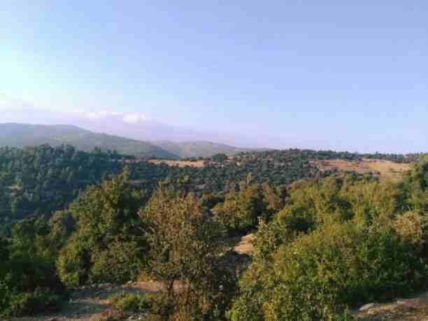 👀 30 #دونم 🌳🌳قطعة #ارض بأعلى مرتفعات #جرش اطلاله جميله،
 فرصة للإستثمار بإقامة مشروع سياحي كمطعم او شاليهات
#سعر 7000 للدونم #قابل_للتفاوض.  👀👀 🌳🌳🌳🌳

للإستفسار :  📲 00962772353284  😀