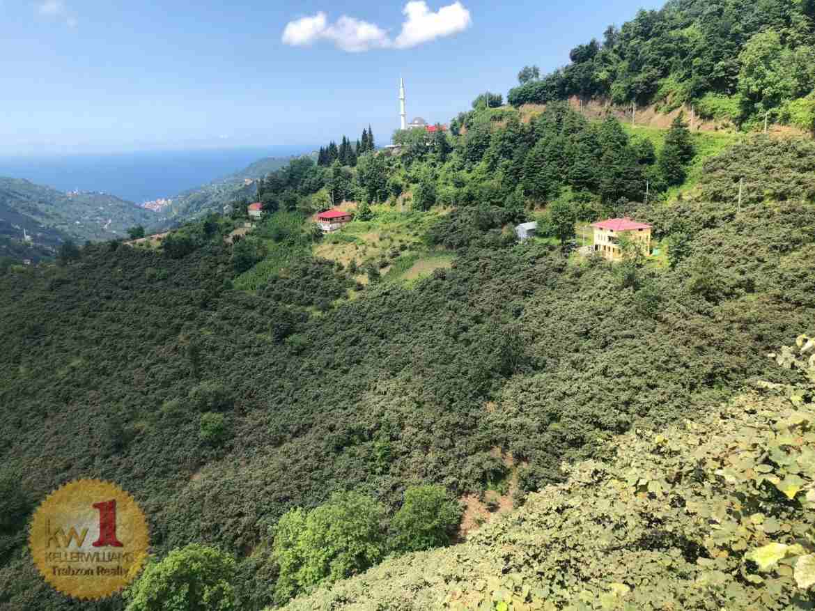بيت ريفي مع مزرعة للبيع في طرابزون
مزرعة بندق مساحة 24000 متر مربع
إنتاجية المزرعة تقدر بحوالي 4 طن من البندق سنويا.
تحتوي على منزل مكون من 3 طوابق.
الطابق الأرضي عباره عن غرفتين وصاله بمساحة 100م
الط...