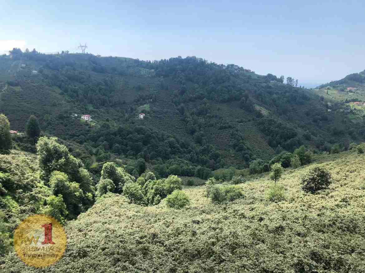 بيت ريفي مع مزرعة للبيع في طرابزون
مزرعة بندق مساحة 24000 متر مربع
إنتاجية المزرعة تقدر بحوالي 4 طن من البندق سنويا.
تحتوي على منزل مكون من 3 طوابق.
الطابق الأرضي عباره عن غرفتين وصاله بمساحة 100م
الط...