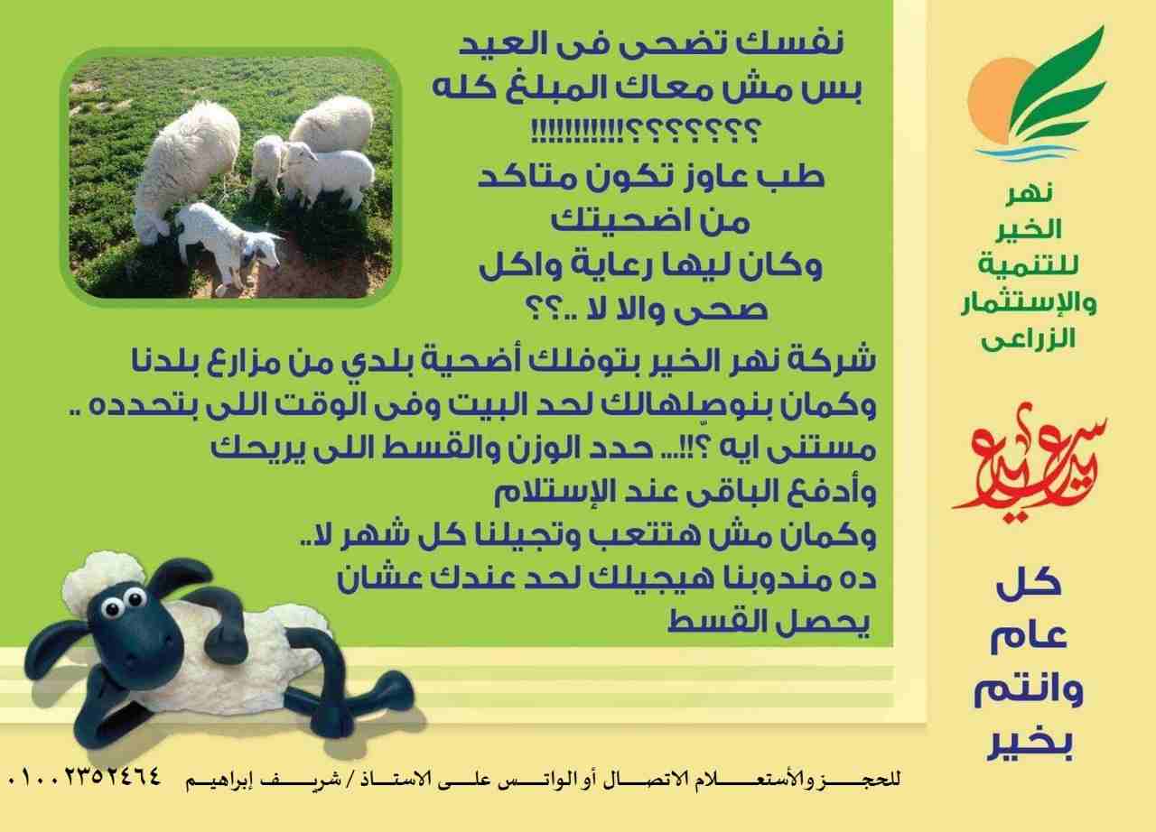 لو عايز تضحى السنه اللى جايه ...
               يبقى خروفـك عـنـدنا
بسعر النهاردة ........ أيووووووه  بسعر النهارده
وكمان بالتقســــــــــــــــــــــــــــــــــــــــــــيـط
يعنى حضرتك مش محتاج تستن...