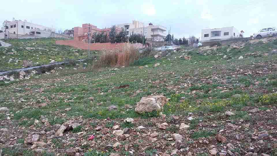 الأردن - السلط
قطعة ارض في السرو - قرب مسجد إسكان طيبة
القرية: السلط
حوض: البشيري
المساحة: 989م
الموقع: تبعد 390م عن مسجد إسكان طيبة
واجهة على الشارع 33.5م، طول 30م
شارع 12م
التصنيف: سكن أ
ال...
