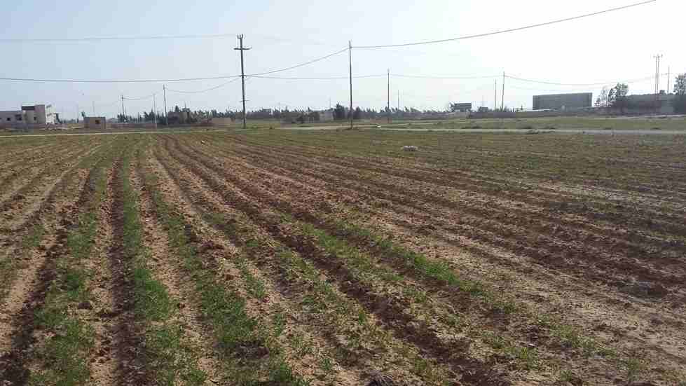 الأردن - عمان
قطعة ارض في القسطل - تبعد 800م عن جسر المطار
القرية: القسطل
حوض: ظهر حجرة الفرس
المساحة: 495م
الموقع: تبعد 800م عن جسر المطار
واجهة على الشارع 20م، طول 25م
شارع 10م
السعر 35 ألف...