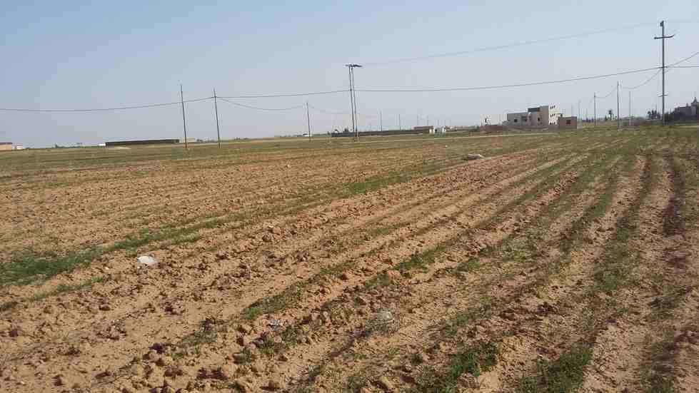 الأردن - عمان
قطعة ارض في القسطل - تبعد 800م عن جسر المطار
القرية: القسطل
حوض: ظهر حجرة الفرس
المساحة: 495م
الموقع: تبعد 800م عن جسر المطار
واجهة على الشارع 20م، طول 25م
شارع 10م
السعر 35 ألف...