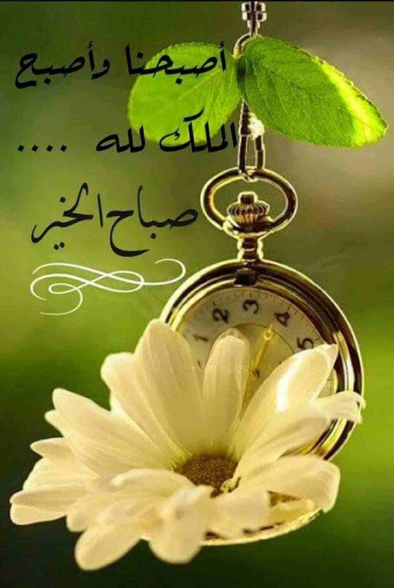 شركة المثلث الذهبي لنقل العفش والاثاث وتركيب اثاث ايكيا بالمدينة
لا تنسَ أنك شاهدت هذا الإعلان في عنكبوت...