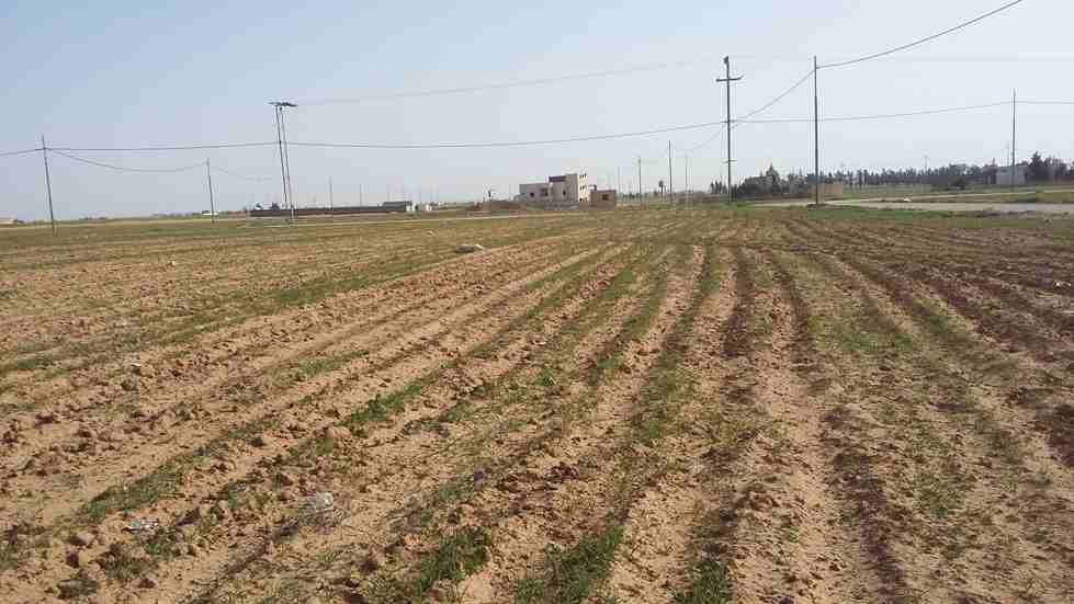 الأردن - عمان
قطعة ارض في القسطل - تبعد 800م عن جسر المطار
القرية: القسطل
حوض: ظهر حجرة الفرس
المساحة: 495م
الموقع: تبعد 800م عن جسر المطار
واجهة على الشارع 20م، طول 25م
شارع 10م
السعر 35 ألف...