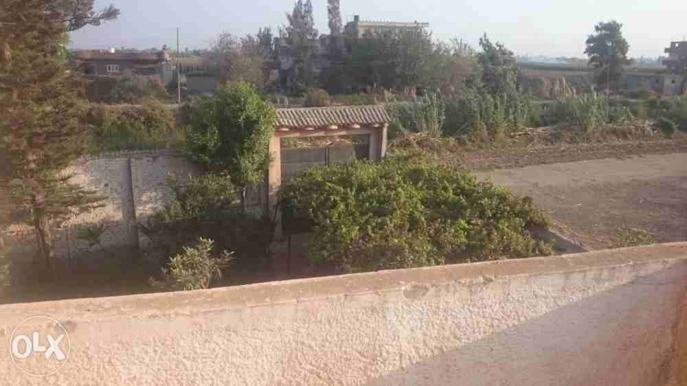 ثلاجة لحفظ الخضر والفاكهة سعة 1000 طن و محطة تصدير وفيلا سكنية                                            


	 				لا تنسَ أنك شاهدت هذا الإعلان في عنكبوت...