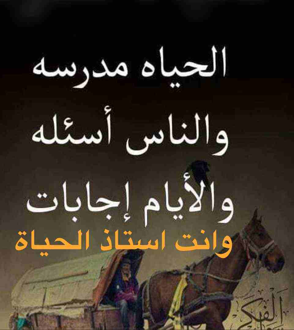 ابحث عن موضفات لاتوصيل                                            


	 				لا تنسَ أنك شاهدت هذا الإعلان في عنكبوت            
	 				
                            السلام عليكم ورحمة الله وبركاته  ا...