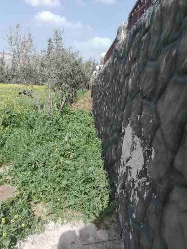 الارض بشارع الاردن من اراضي قريه ابو نصير بجانب اسكان المهندسين رقم القطعه 939 ام رجم ومرج الصانع حوض 6 ابو نصير القريه ويوجد بجانبها فيلا الكوشان مشترك السعر 30000 من الاخر للجادين من المالك مباشر 
0...