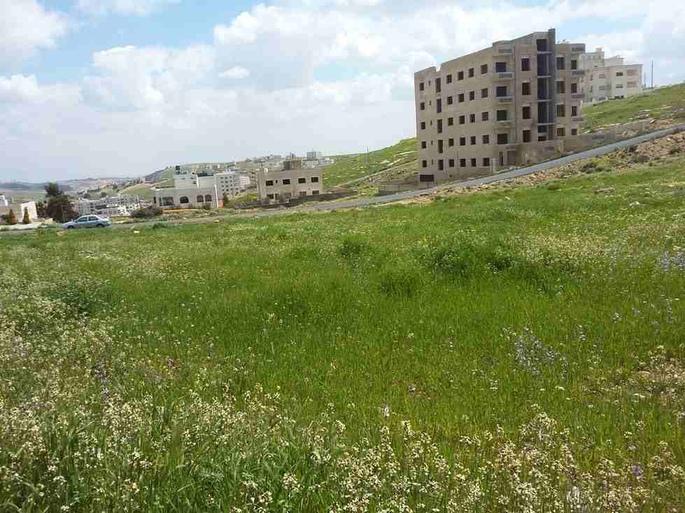 الأردن - عمان
قطعة ارض في شفا بدران/ مرج الاجرب - قرب مؤسسة الغذاء و الدواء
القرية: بدران
حوض: مرج الاجرب
المساحة: 1021م
الموقع: تبعد 225م عن مؤسسة الغذاء و الدواء
واجهة أمامية على الشارع 34م، ط...