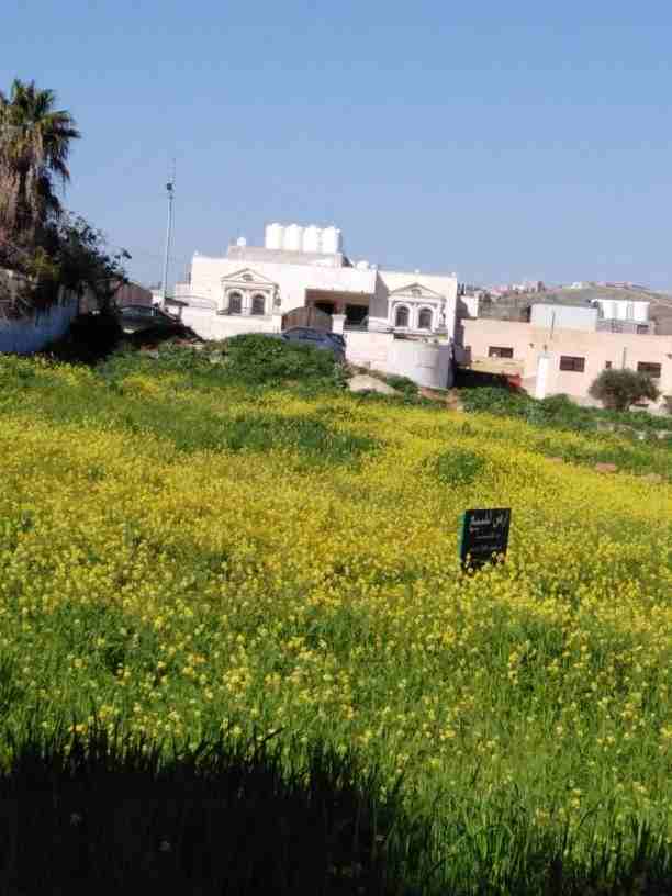 ارض في ام الدنانير سكن العراقين قرب محطت المناصير 
١٠٠ الف مساحتها ١١٧٠متر