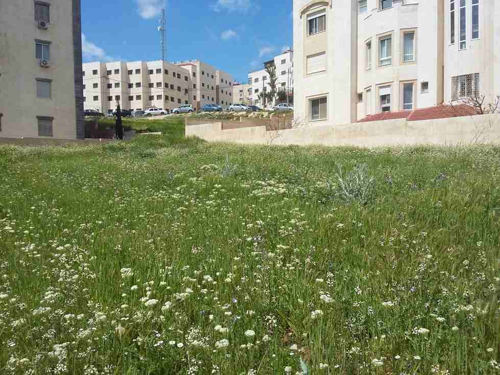 الأردن - عمان
قطعة ارض في شفا بدران/ مرج الاجرب - قرب مؤسسة الغذاء و الدواء
القرية: بدران
حوض: مرج الاجرب
المساحة: 1021م
الموقع: تبعد 225م عن مؤسسة الغذاء و الدواء
واجهة أمامية على الشارع 34م، ط...