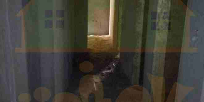 كود 3380
شقه 135م دور رابع
3 غرف وصاله ومطبخ وحمام
البرج كامل المرافق
نص تشطيب
سعر المتر 3400 كاش 3800 قسط
الفلل حى الزهور الجديد
للمعاينه والاستعلام Hot line\ 01289896363
01066684051\01151178...