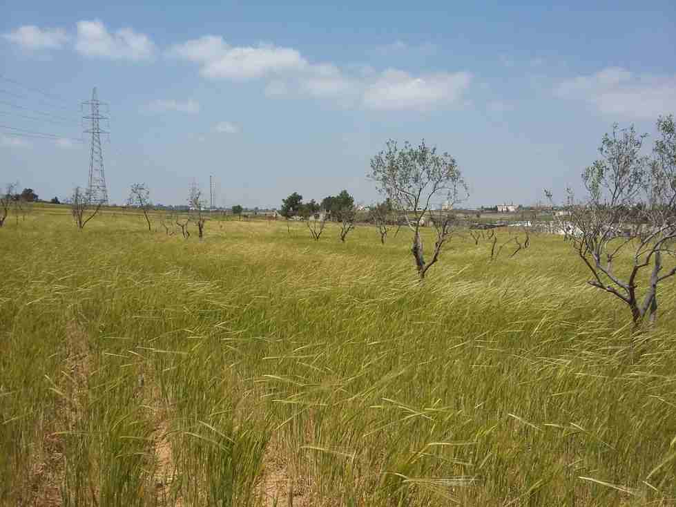 الأردن - عمان
قطعة ارض في أم العمد - تبعد 800م عن شارع المطار
القرية: أم العمد
حوض: النجمية
المساحة: 11.9 دنم
الموقع: تبعد 800م عن شارع المطار
واجهة على الشارع 156م، طول 75م
شارع 10م
السعر: 34...