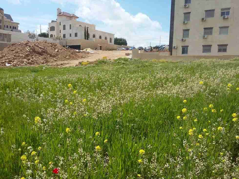 الأردن - عمان
قطعة ارض في شفا بدران/ مرج الاجرب - قرب مؤسسة الغذاء و الدواء
القرية: بدران
حوض: مرج الاجرب
المساحة: 1021م
الموقع: تبعد 225م عن مؤسسة الغذاء و الدواء
واجهة أمامية على الشارع 34م، ط...