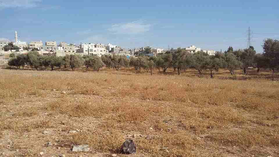 الأردن - عمان
ارض للبيع في الجويدة/ المستندات و ام زعرورة - قرب مسجد ابو بكر الصديق
القرية: الجويدة
حوض: المستندات و ام زعرورة
الموقع: المنطقة الواقعة مقابل نادي الرماية الملكي - قرب مسجد ابو بكر...