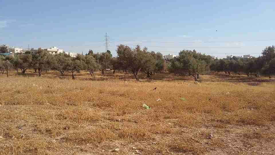 الأردن - عمان
ارض للبيع في الجويدة/ المستندات و ام زعرورة - قرب مسجد ابو بكر الصديق
القرية: الجويدة
حوض: المستندات و ام زعرورة
الموقع: المنطقة الواقعة مقابل نادي الرماية الملكي - قرب مسجد ابو بكر...