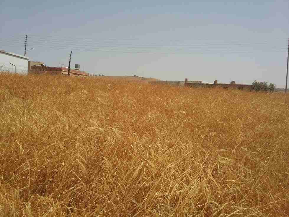 الأردن - عمان
قطعة ارض في موبص - تبعد 750م عن تقاطع شارع عمان جرش مع شارع الأردن
القرية: موبص
حوض: سنينة النصارى
المساحة: 600م
الموقع: موبص - تبعد 750م عن تقاطع شارع عمان جرش مع شارع الأردن
واجه...