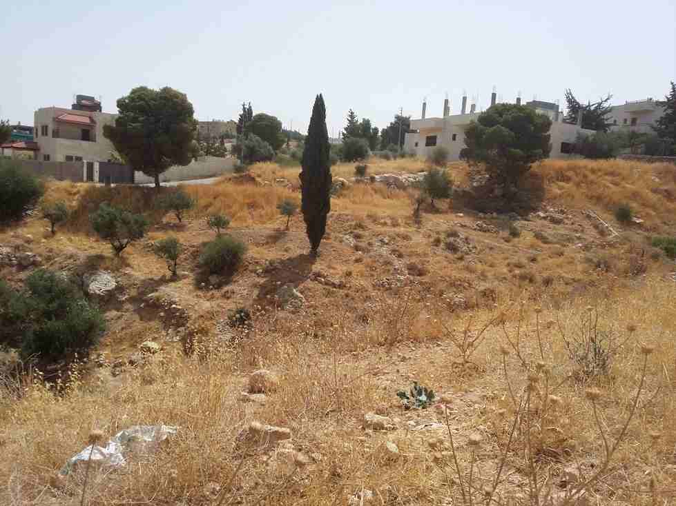 الأردن - عمان
قطعة ارض في قرية أبو نصير - قرب مسجد أبو نصير
القرية: أبو نصير
حوض: أم بطمة
المساحة: 750م
الموقع: قرية أبو نصير - تبعد 210م عن مسجد أبو نصير
واجهة على الشارع 25.5م، طول 29م
شارع 1...