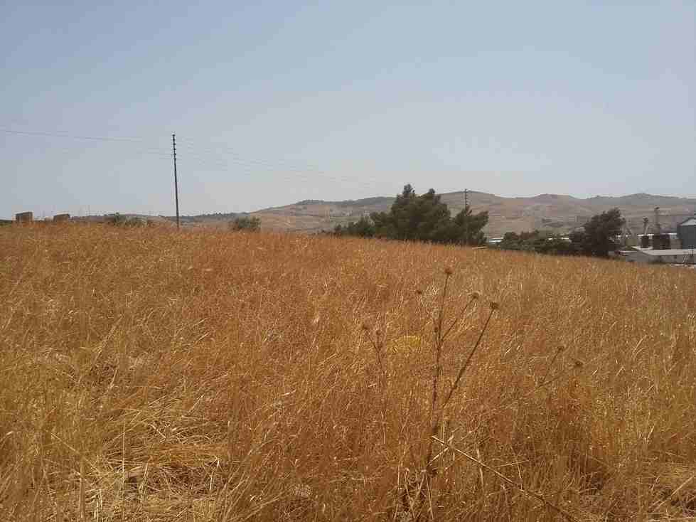 الأردن - عمان
قطعة ارض في موبص - تبعد 750م عن تقاطع شارع عمان جرش مع شارع الأردن
القرية: موبص
حوض: سنينة النصارى
المساحة: 600م
الموقع: موبص - تبعد 750م عن تقاطع شارع عمان جرش مع شارع الأردن
واجه...