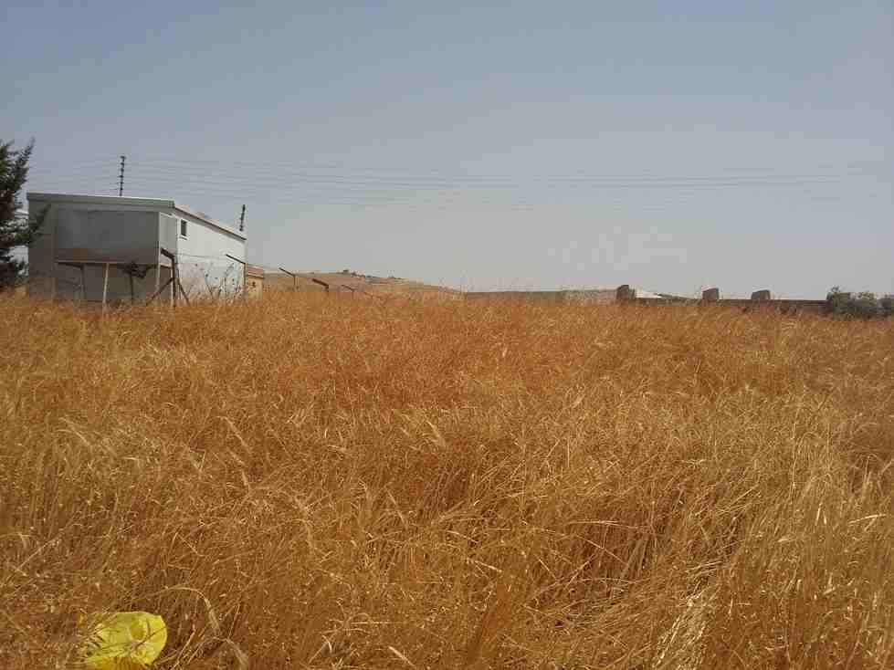 الأردن - عمان
قطعة ارض في موبص - تبعد 750م عن تقاطع شارع عمان جرش مع شارع الأردن
القرية: موبص
حوض: سنينة النصارى
المساحة: 600م
الموقع: موبص - تبعد 750م عن تقاطع شارع عمان جرش مع شارع الأردن
واجه...