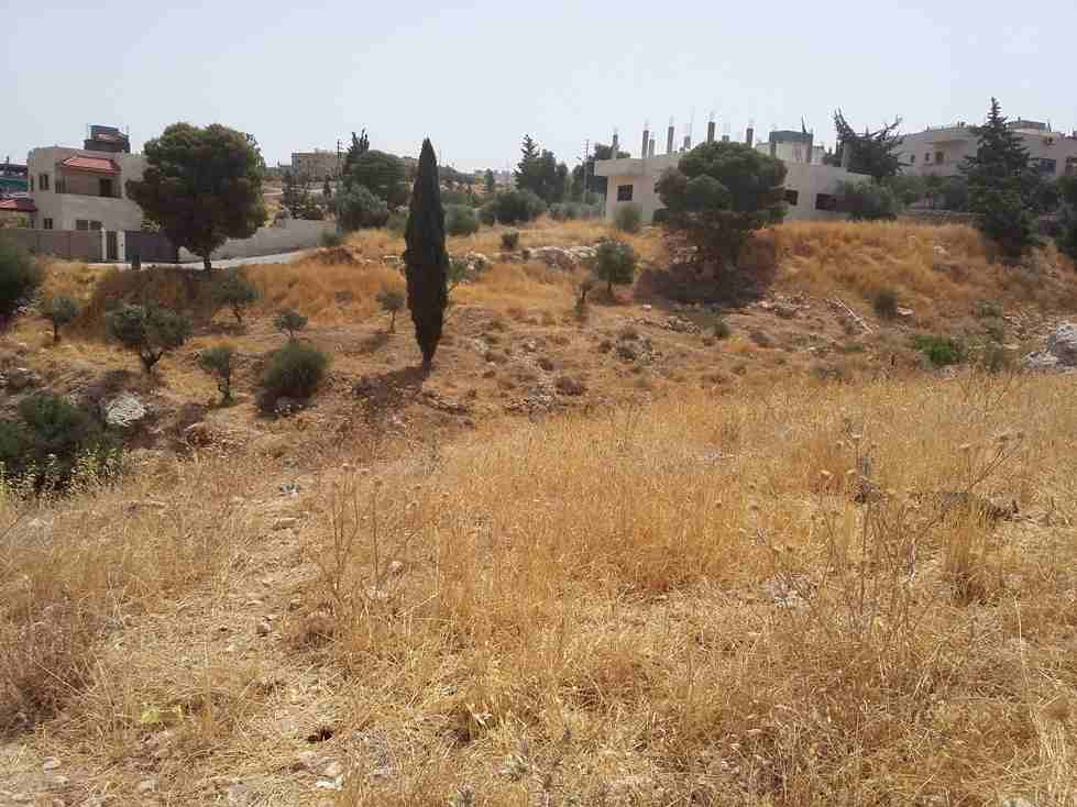 الأردن - عمان
قطعة ارض في قرية أبو نصير - قرب مسجد أبو نصير
القرية: أبو نصير
حوض: أم بطمة
المساحة: 750م
الموقع: قرية أبو نصير - تبعد 210م عن مسجد أبو نصير
واجهة على الشارع 25.5م، طول 29م
شارع 1...