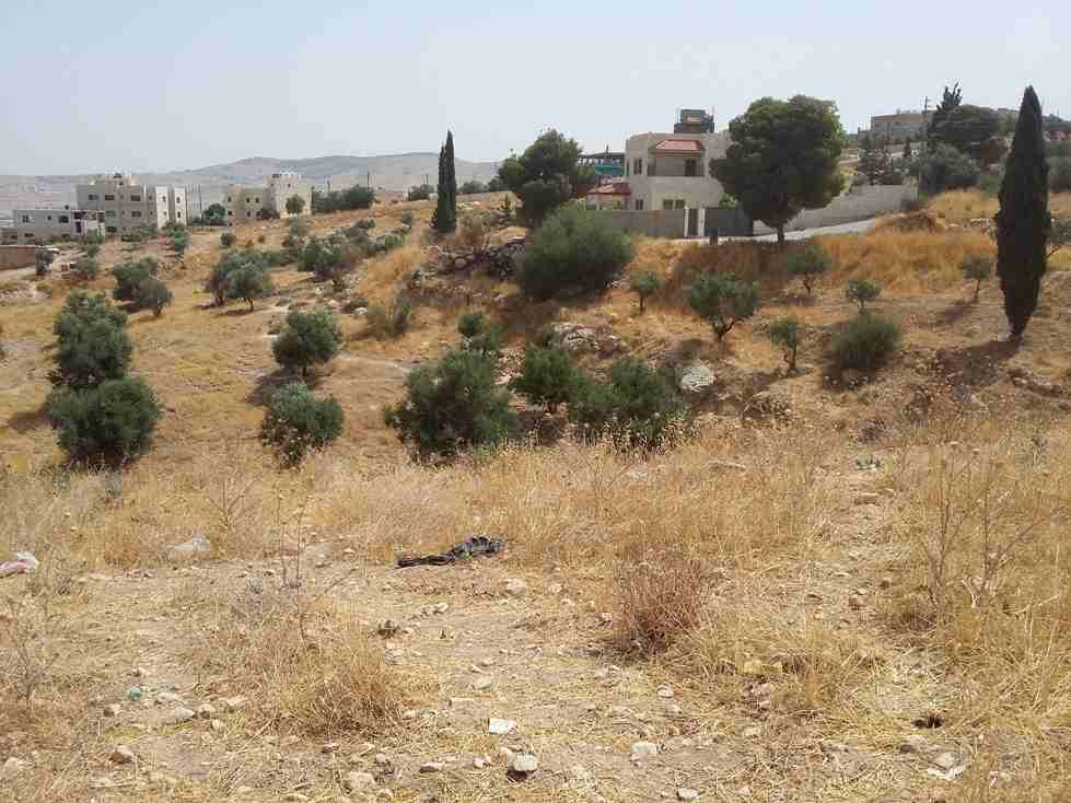 الأردن - عمان
قطعة ارض في قرية أبو نصير - قرب مسجد أبو نصير
القرية: أبو نصير
حوض: أم بطمة
المساحة: 750م
الموقع: قرية أبو نصير - تبعد 210م عن مسجد أبو نصير
واجهة على الشارع 25.5م، طول 29م
شارع 1...