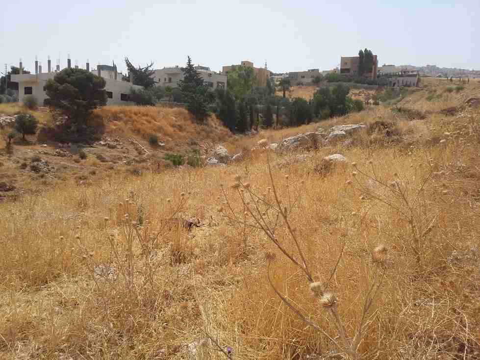 الأردن - عمان
قطعة ارض في قرية أبو نصير - قرب مسجد أبو نصير
القرية: أبو نصير
حوض: أم بطمة
المساحة: 750م
الموقع: قرية أبو نصير - تبعد 210م عن مسجد أبو نصير
واجهة على الشارع 25.5م، طول 29م
شارع 1...