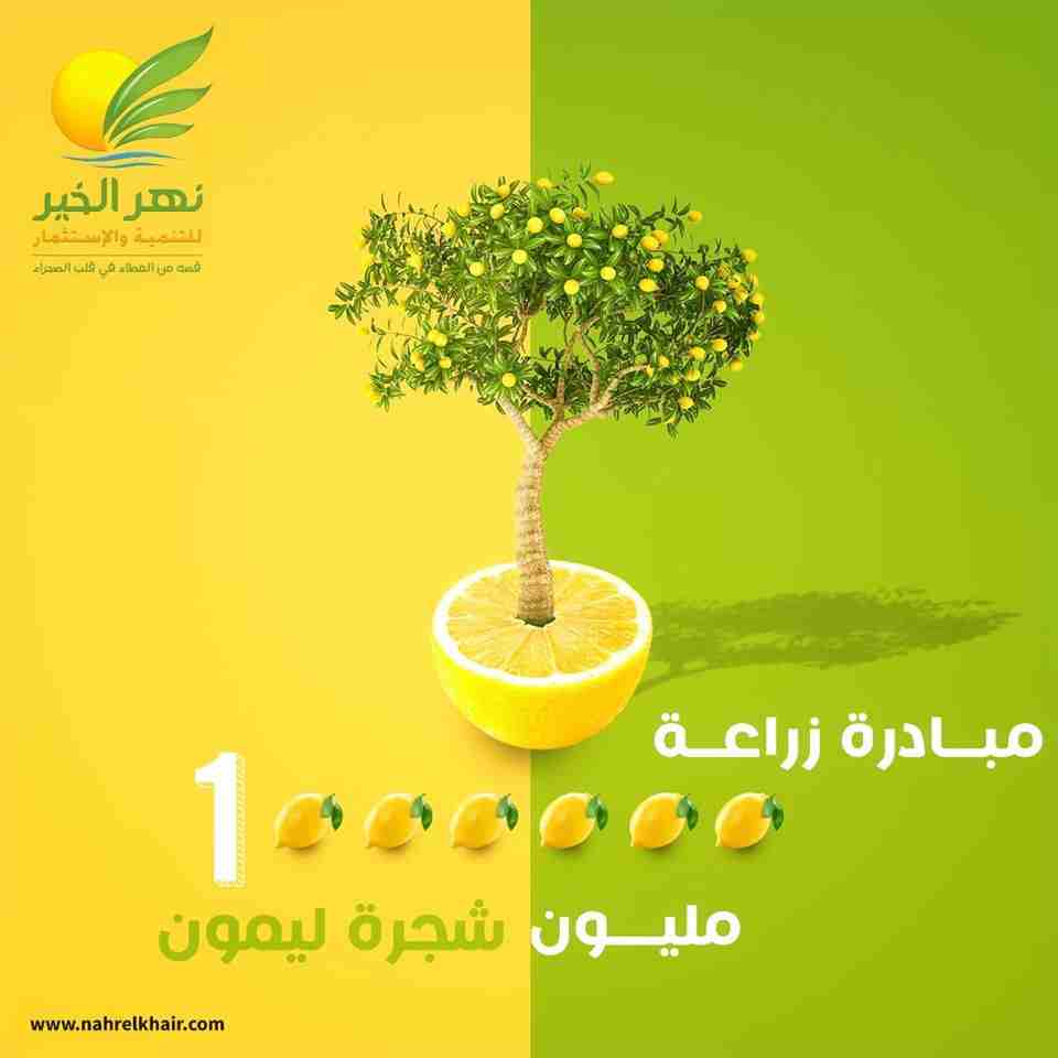 احصل على دخل سنوي يتراوح بين 12,600 جنيه وحتى 16,100 جنيه سنوى، وذلك عند استثمارك بمبلغ 70الف جنيه .
#استثمر_مع_نهر_الخير فى #مشروع_زراعة_مليون_شجره_ليمون ضمن#مشروع_المليون_ونصف_فدان
🍋🍋🍋🍋🍋🍋🌳
لي...