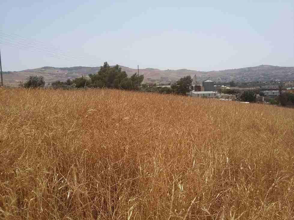 الأردن - عمان
قطعة ارض في موبص - تبعد 750م عن تقاطع شارع عمان جرش مع شارع الأردن
القرية: موبص
حوض: سنينة النصارى
المساحة: 600م
الموقع: موبص - تبعد 750م عن تقاطع شارع عمان جرش مع شارع الأردن
واجه...