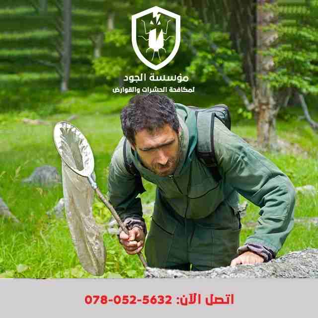 شركة الجود لمكافحة الحشرات و القوارض
القضاء على جميع الحشرات الزاحفة و الطائرة و القوارض و غيرها من الآفات المزعجة و الناقلة للأمراض باشراف مهندسين زراعيين مختصين و فنيين مدربين على مستوى عالي
باستخدا...