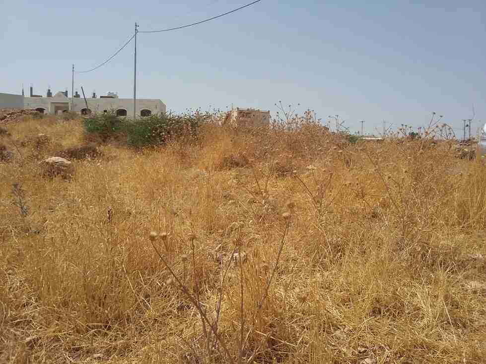 الأردن - عمان
قطعة ارض في قرية أبو نصير - قرب مسجد أبو نصير
القرية: أبو نصير
حوض: أم بطمة
المساحة: 750م
الموقع: قرية أبو نصير - تبعد 210م عن مسجد أبو نصير
واجهة على الشارع 25.5م، طول 29م
شارع 1...