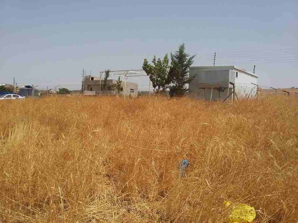 الأردن - عمان
قطعة ارض في موبص - تبعد 750م عن تقاطع شارع عمان جرش مع شارع الأردن
القرية: موبص
حوض: سنينة النصارى
المساحة: 600م
الموقع: موبص - تبعد 750م عن تقاطع شارع عمان جرش مع شارع الأردن
واجه...