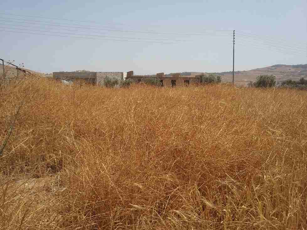 الأردن - عمان
قطعة ارض في موبص - تبعد 750م عن تقاطع شارع عمان جرش مع شارع الأردن
القرية: موبص
حوض: سنينة النصارى
المساحة: 600م
الموقع: موبص - تبعد 750م عن تقاطع شارع عمان جرش مع شارع الأردن
واجه...