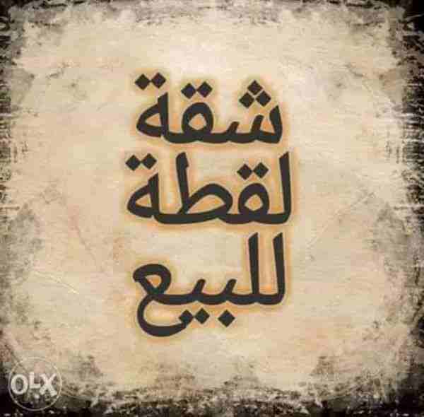 كود 132

شقة دور 4

3 غرف و مطبخ و حمام و صالة

90 متر

وجهه بحري

تشطيب الجهاز

قسط ثابت 798 مدفوع سنتين و نصف

مطلوب 125 الف

HOT LINE : 01289896363

01202185022/01202184883

للتواصل عبر الفيس بوك...