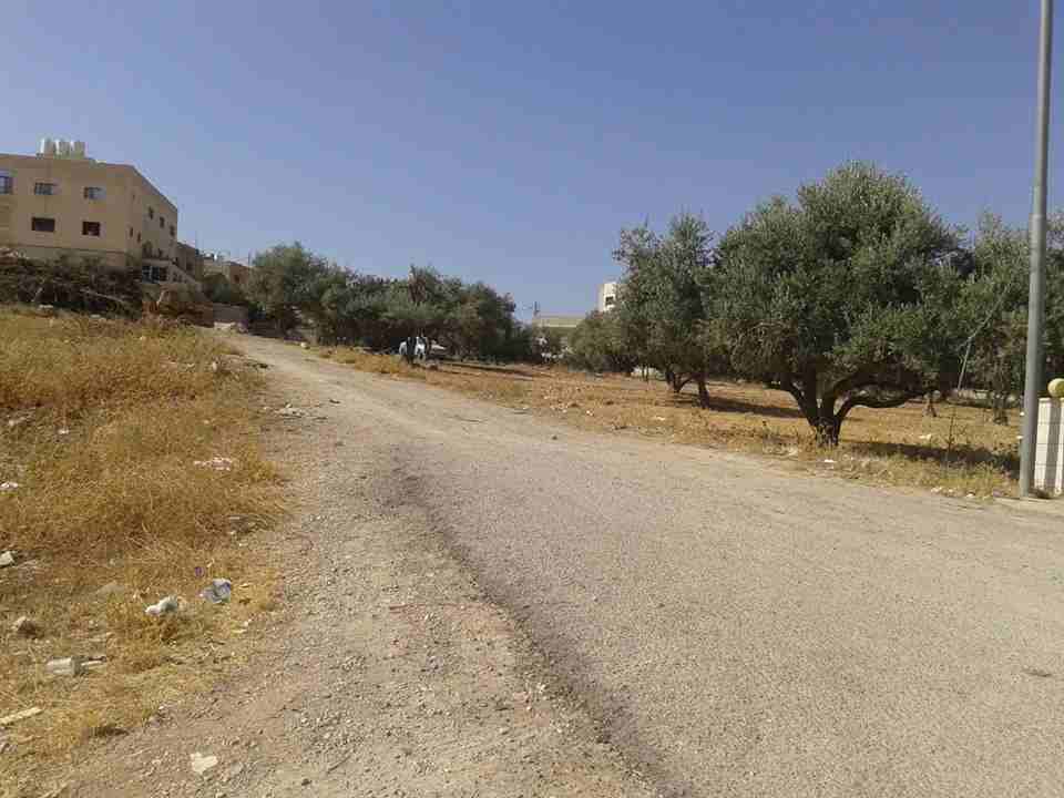 الأردن - عمان
قطعة ارض في مرج الحمام/ خلف المدارس العالمية - تبعد 400م عن شارع المطار
القرية: ناعور
حوض: الحويطي
المساحة: 993 م
الموقع: خلف المدارس العالمية - تبعد 400م عن شارع المطار
واجهة على...