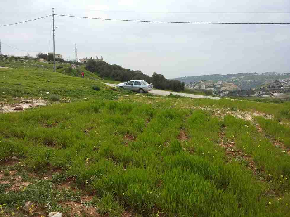 الأردن - عمان
قطعة ارض في مرج الحمام/ الطبقة - قرب مسجد سالم عبد ربه
القرية: البحاث
حوض: الطبقة
المساحة: 750م
الموقع: تبعد 450م عن مسجد سالم عبد ربه
واجهة أمامية على الشارع 23م، واجهة خلفية على...