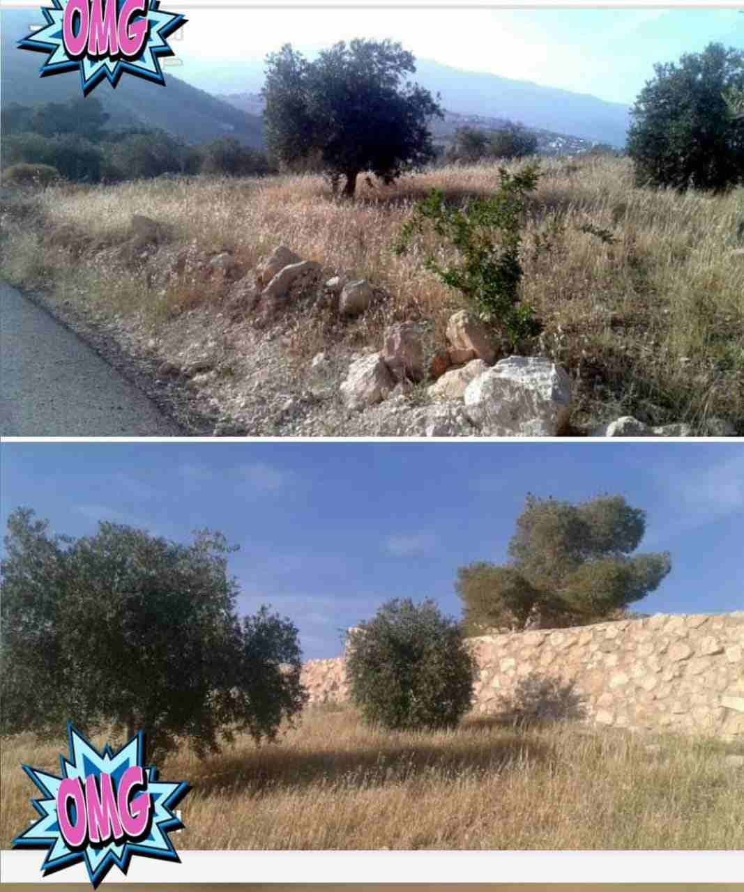ارض ((مميزة)) للبيع في المصطبه / جرش على شارعين..3 دنومات
منطقة شاليهات ومطله.. مزروعة زيتون..
مخدومة بالكامل من عمان جسر الجبيهة بعيدة 23كيلو ..
السعر مغري جدا جدا
للاستفسار يرجى الاتصال على الرقم 07...