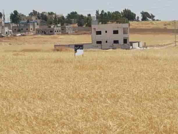 أراضي للبيع 
مساحة 500 م 
دفعة أولى 7000 دينار
ااقساااط شهرية مريحة 
للاستفسار: 0795841307