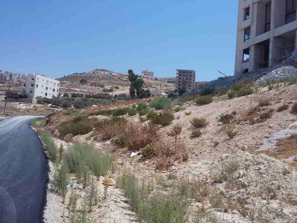 الأردن - عمان

قطعة ارض في صافوط/ مرج البير - تحت قصر الأميرة بسمة ب660م

القرية: صافوط

حوض: مرج البير

المساحة: 589م

الموقع: صافوط/ مرج البير - تحت قصر الأميرة بسمة ب660م

واجهةعلى الشارع 27م، طول...